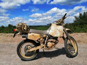 Chobham common June 2020