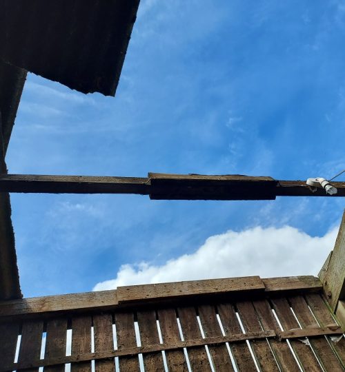 Roof missing in action.