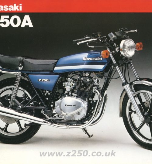 Official Kawasaki Picture